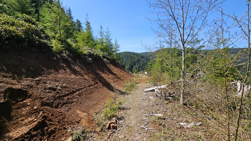 D-1510 Trail Review Photo