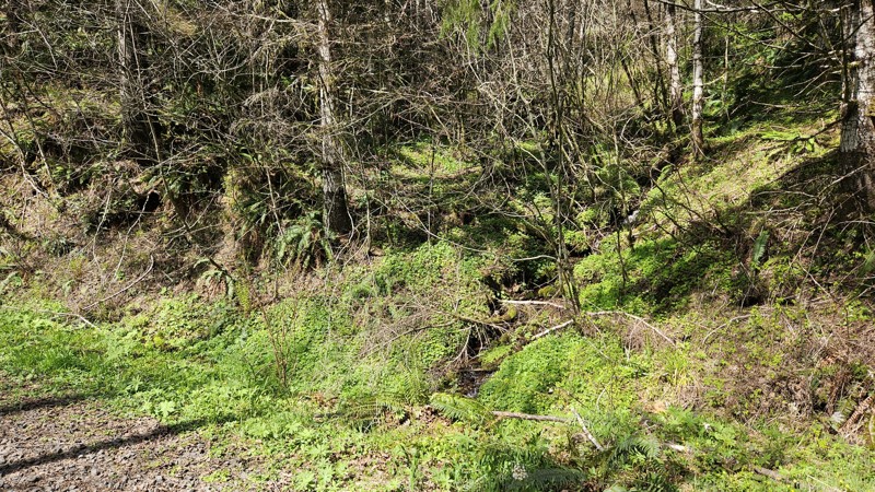 D-3000 Trail Review Photo
