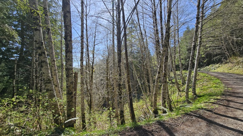 D-3000 Trail Review Photo