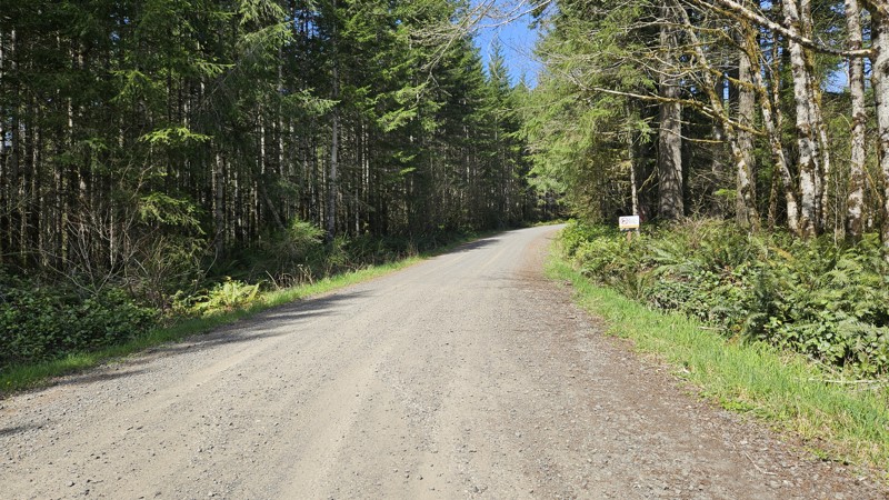 D-4000 Trail Review Photo