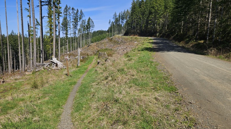 D-4000 Trail Review Photo