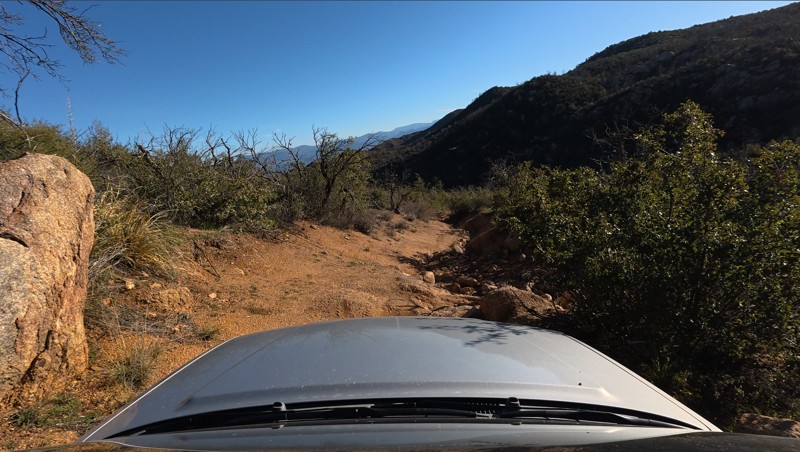 Jolene Trail Review Photo