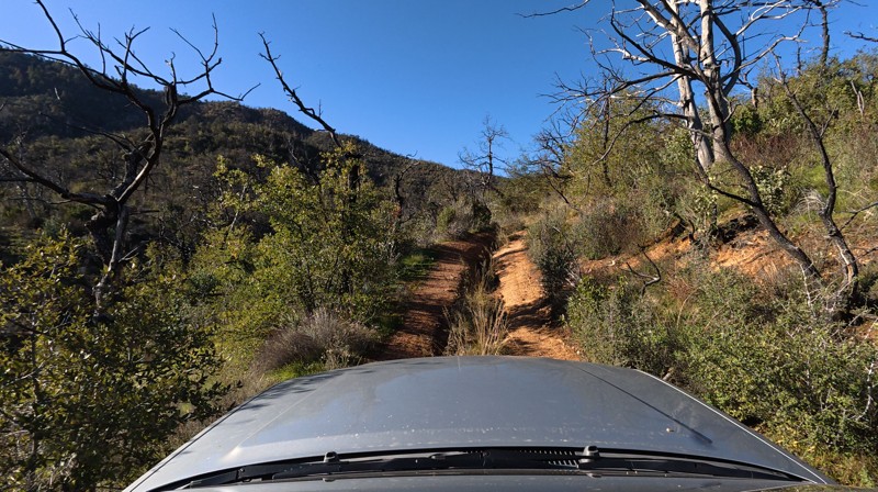 Jolene Trail Review Photo