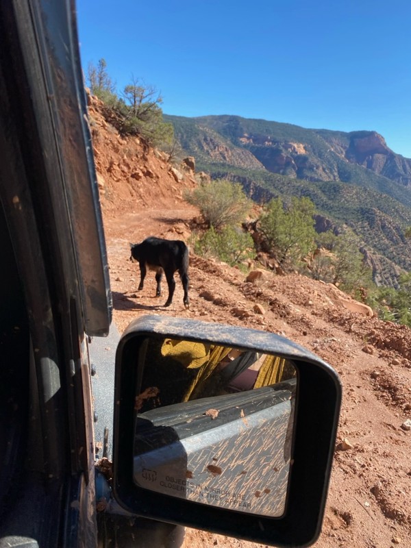 Sheep Creek Road Trail Review Photo