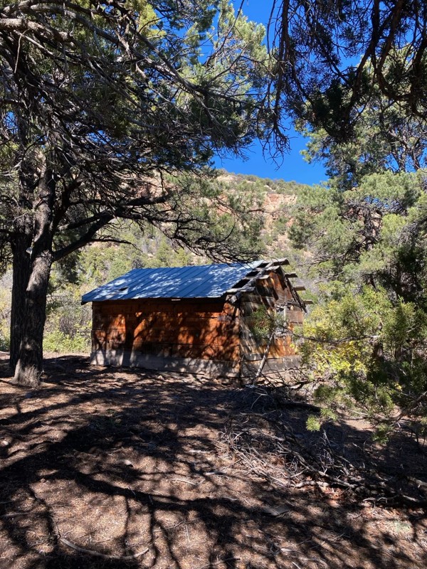 Sheep Creek Road Trail Review Photo