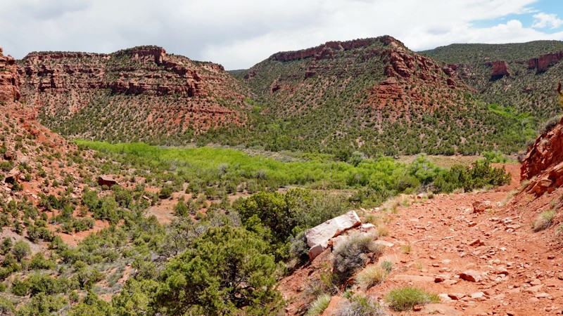 Colorado: Granite Creek Hero Photo
