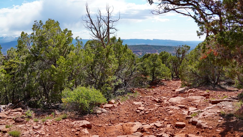 Colorado: Steamboat Ridge Hero Photo