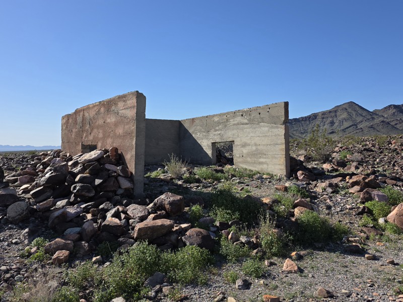 Arlington Mine/Patton's Cabin Road Trail Review Photo