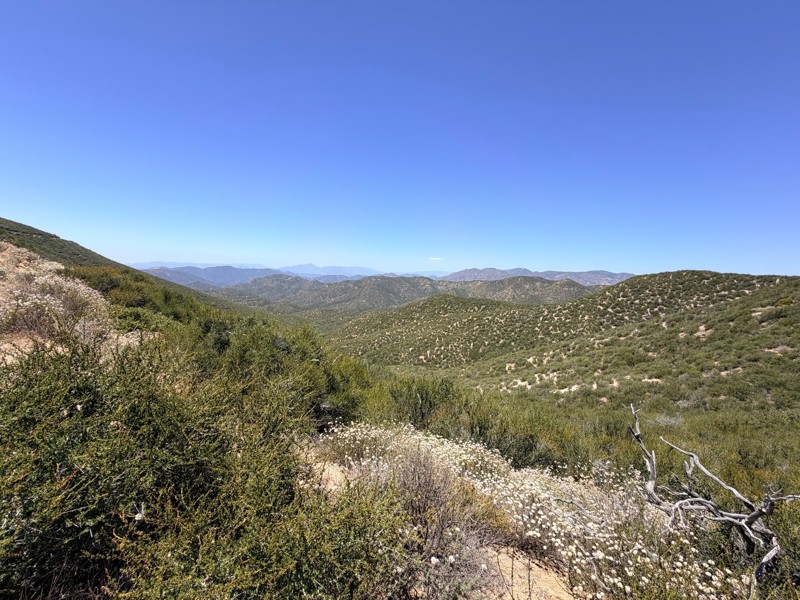 Tule Divide Trail Review Photo