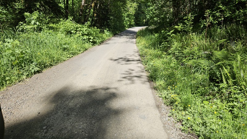 B-1000 Trail Review Photo