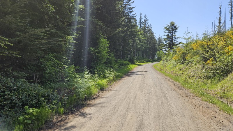 B-5000 Trail Review Photo