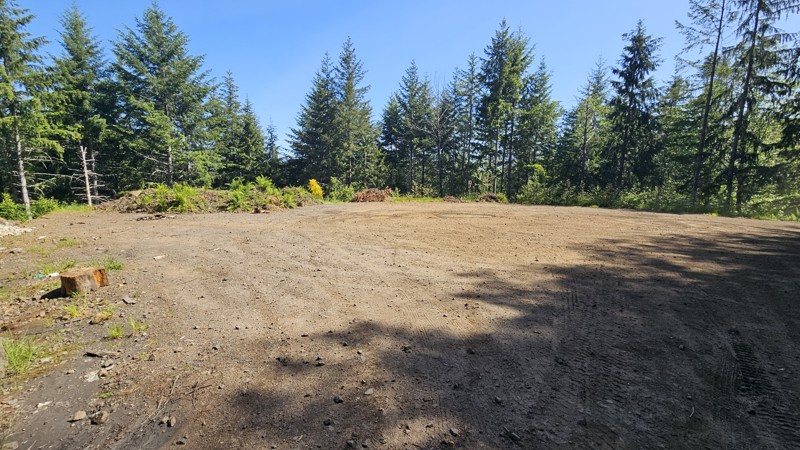 B-Line Trail Review Photo