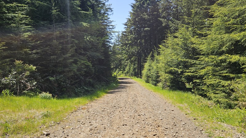 C-4700 Trail Review Photo