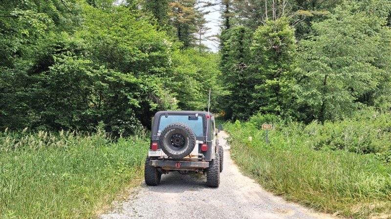 Goodwin Run Trail Review Photo