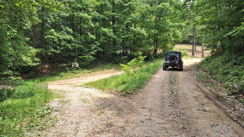 Goodwin Run Trail Review Photo