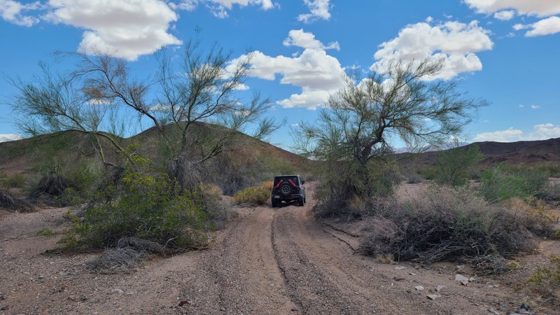 Old Blythe Vidal Road Trail Review Photo
