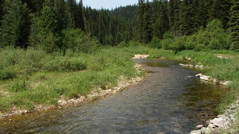 Idaho: Little North Fork Road Hero Photo