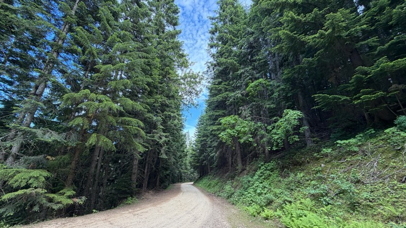Little North Fork Road Trail Review Photo