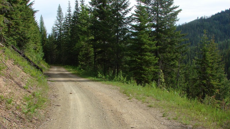 Idaho: Tepee Creek Road Hero Photo