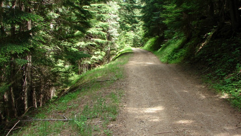 Idaho: Cascade Picnic/Gurley Saddle Hero Photo