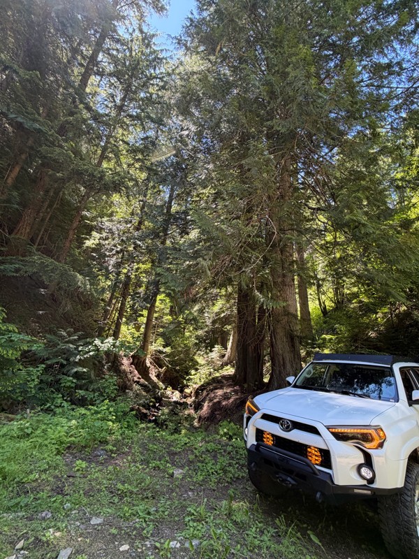 Bunco-High Drive Trail Review Photo