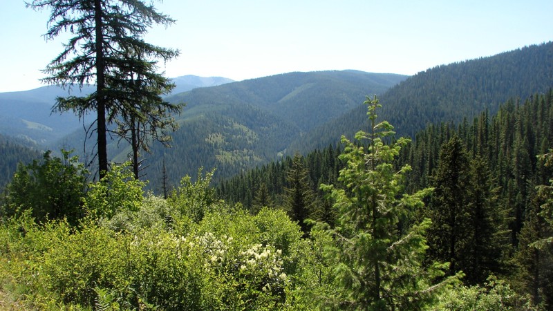 Idaho: Shoshone Creek Road Hero Photo