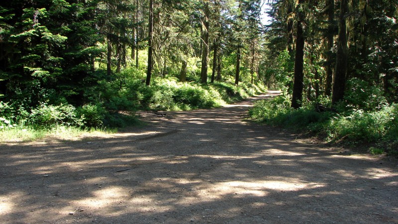 Shoshone Creek Road Trail Review Photo