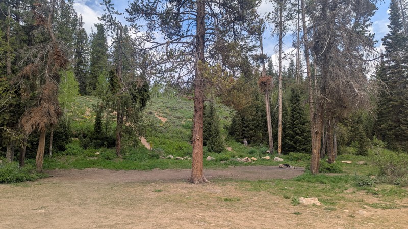 Beaver Green Canyon Trail Review Photo