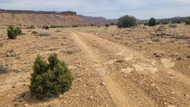 Wilson Holes Trail Review Photo