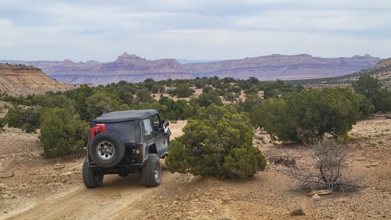 Lockhart Wash Trail Review Photo
