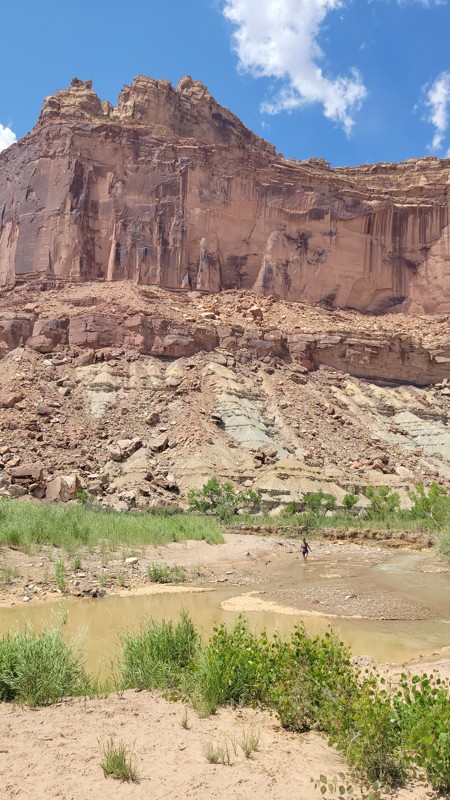 Cow Camp Trail Review Photo