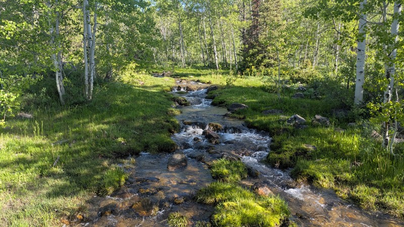 Old Fish Haven Trail Review Photo