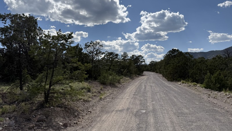 31 Mile Road Trail Review Photo
