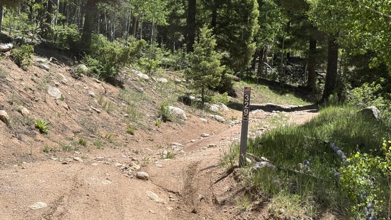 American Creek Trail Review Photo