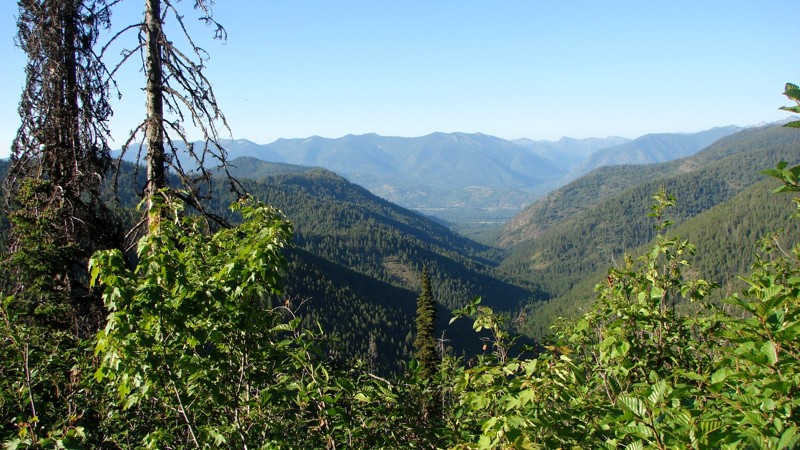 Idaho: Johnson Divide Road Hero Photo