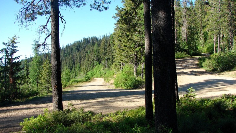 Upper Coeur d'Alene Road Trail Review Photo