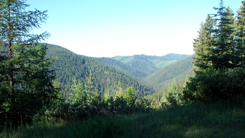 Upper Coeur d'Alene Road Trail Review Photo
