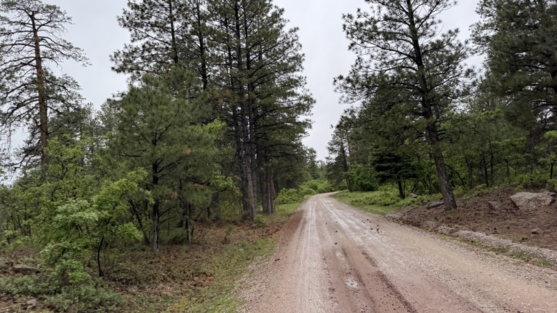 Jarosa Penas Negras Trail Review Photo
