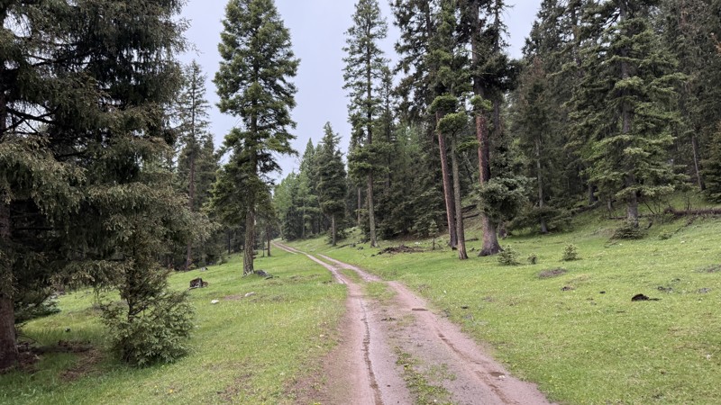 Resumidero Trail Review Photo