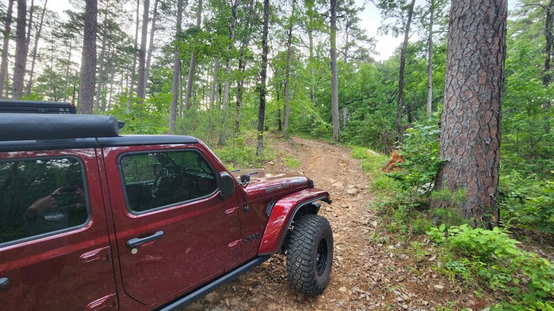 Little Cove Creek Trail Review Photo