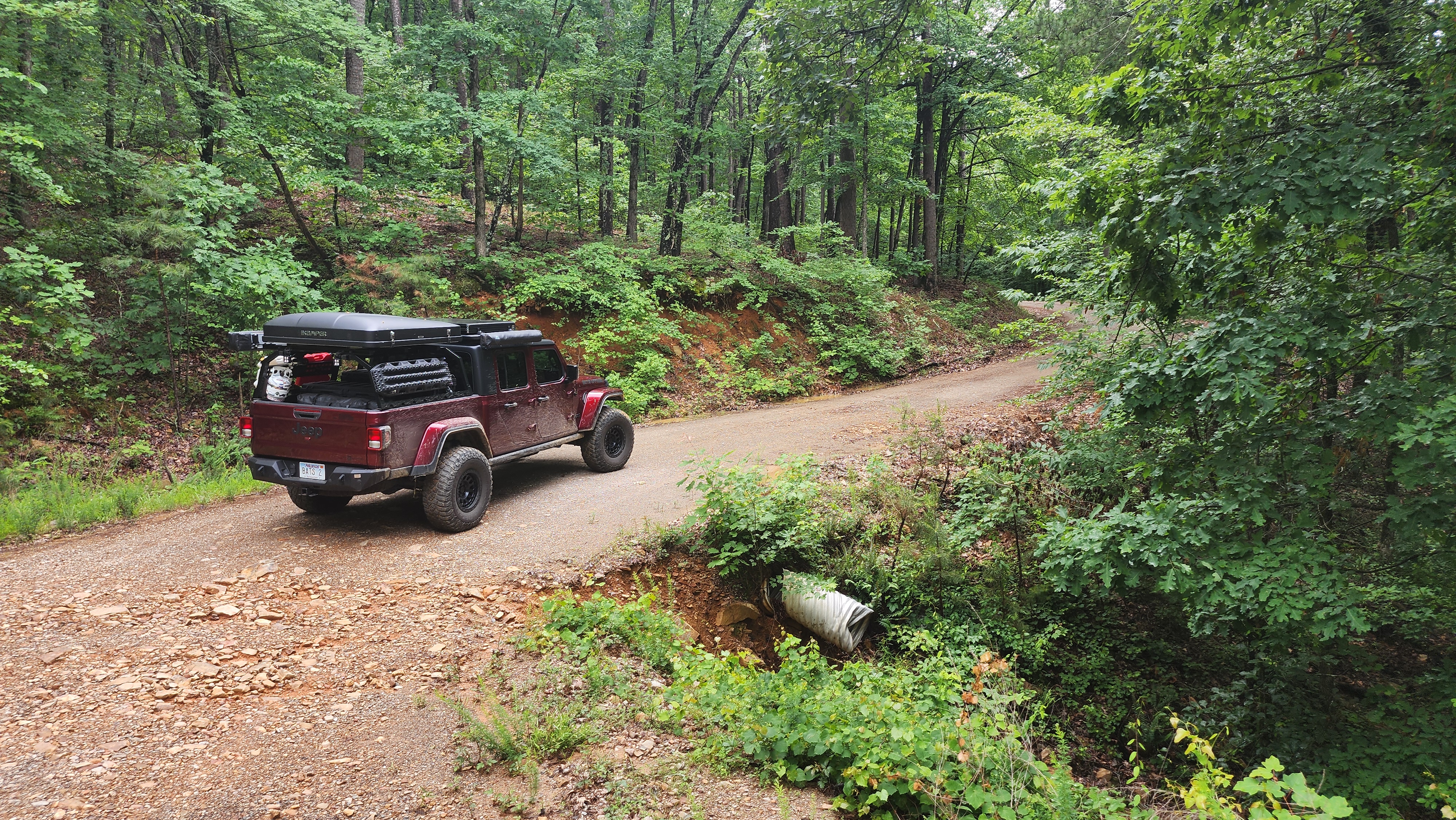 West Forked Mountain - Beginner Trails