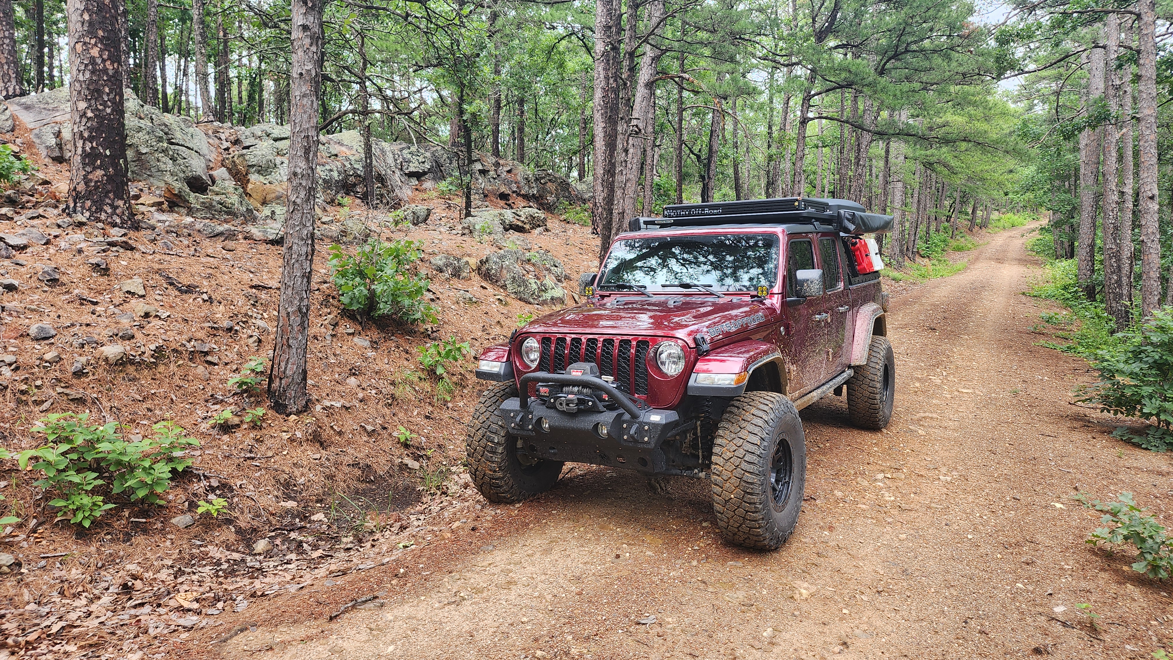 Oak - Beginner Trails