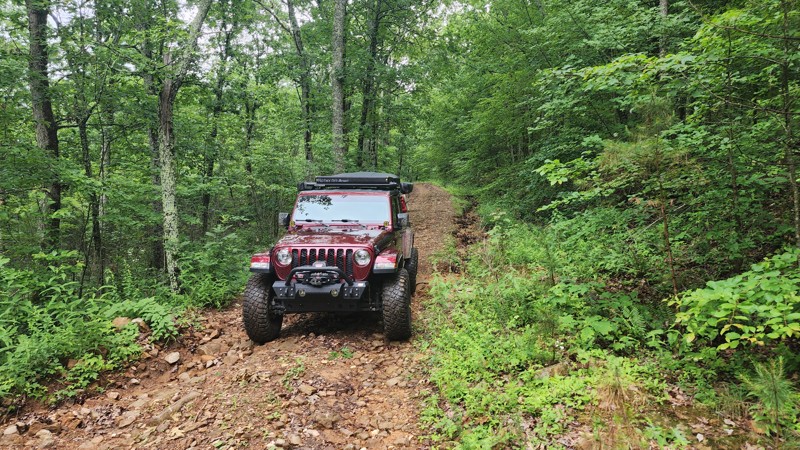 Oak Trail Review Photo