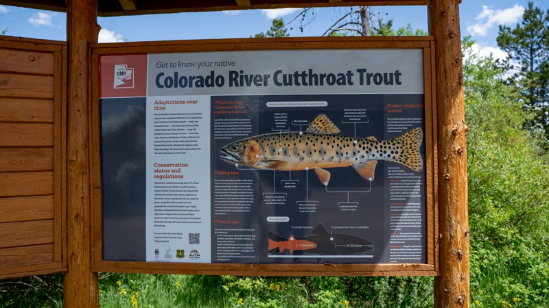 Sheep Creek Lake Trail Review Photo