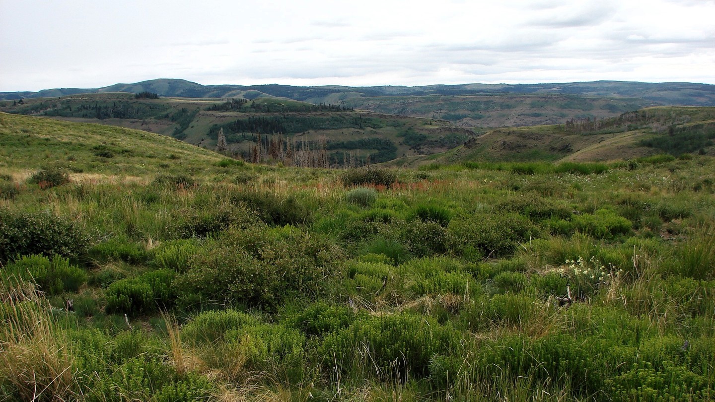 Hero: Dry Creek Road