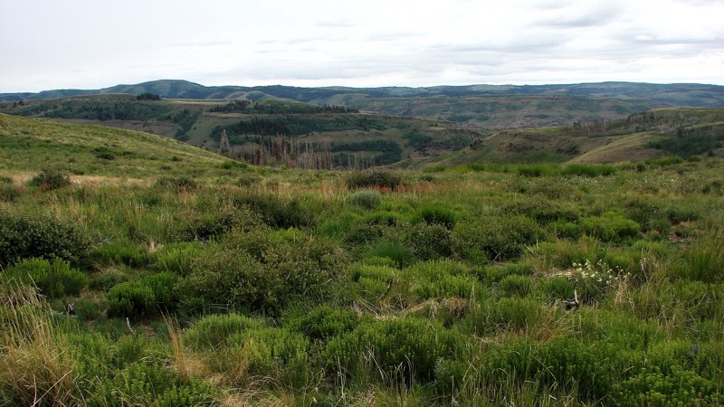 Idaho: Dry Creek Road Hero Photo