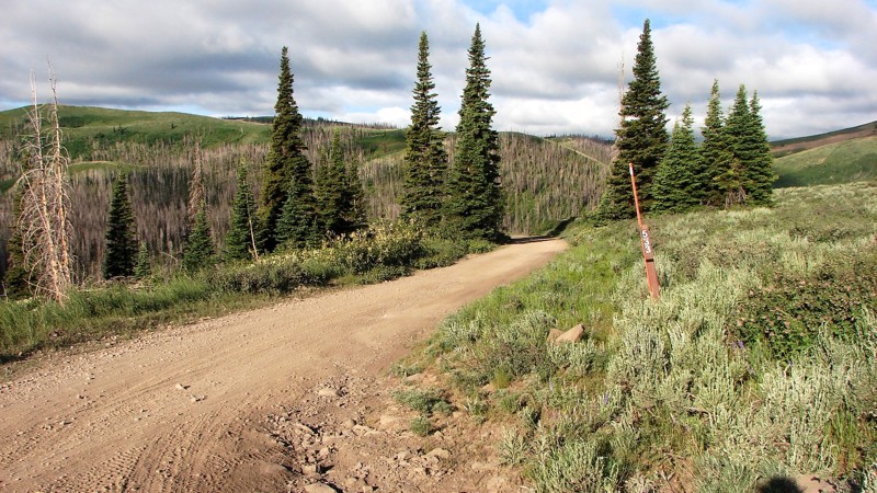 Trapper Creek Road Trail Review Photo