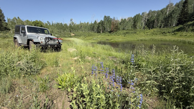 Utah: Wheeler Fork Road Hero Photo