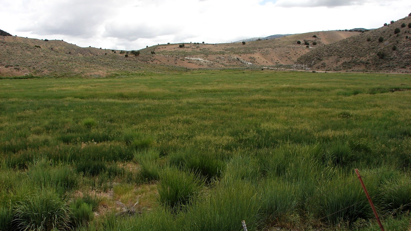 Hero: Goose Creek Road