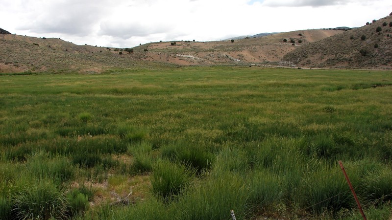Idaho: Goose Creek Road Hero Photo